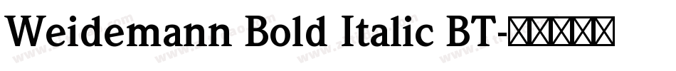 Weidemann Bold Italic BT字体转换
